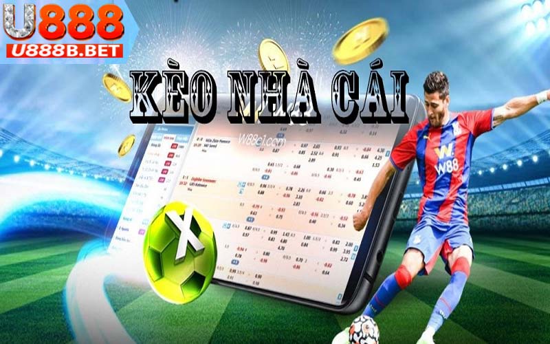 U888bet đầy đủ tỷ lệ kèo để anh em cá cược